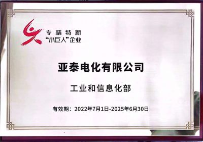 國(guó)家級(jí)專精特新小巨人企業(yè)